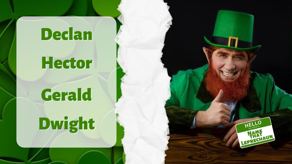 Name That Leprechaun image number null